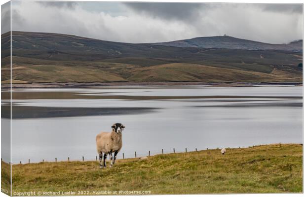 Great Dun Fell and Cow Green Reservoir (2) Canvas Print by Richard Laidler