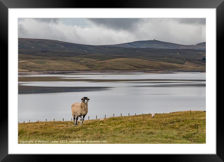 Great Dun Fell and Cow Green Reservoir (2) Framed Mounted Print by Richard Laidler