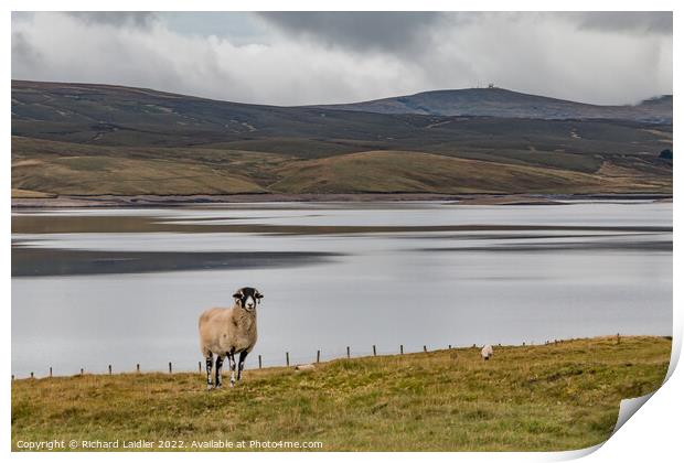 Great Dun Fell and Cow Green Reservoir (2) Print by Richard Laidler