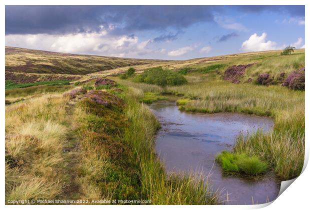 Patches of purple moorland and a small pond - Rose Print by Michael Shannon