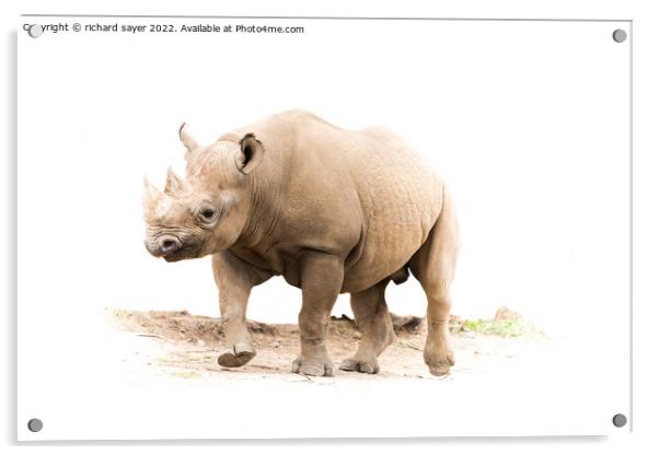 Majestic Rhino Trots Freely Acrylic by richard sayer