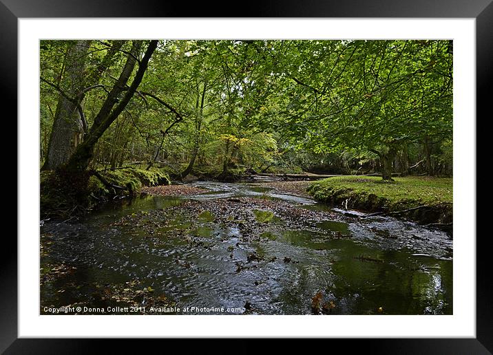 New Forest Stream Framed Mounted Print by Donna Collett