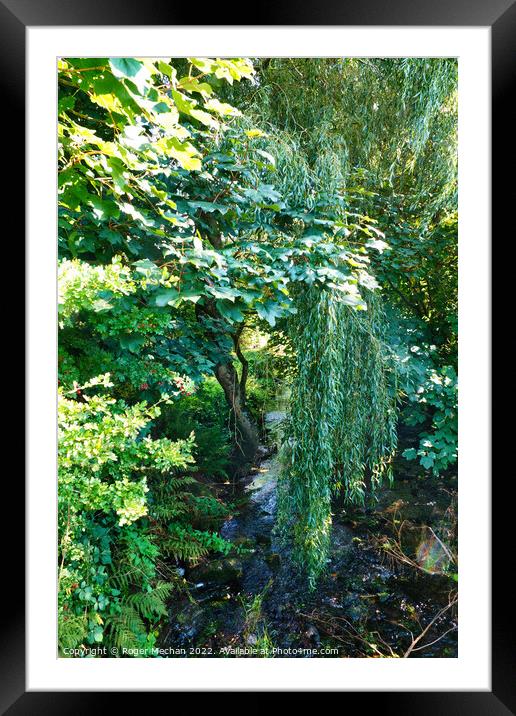 Enchanting Willow by the Brook Framed Mounted Print by Roger Mechan