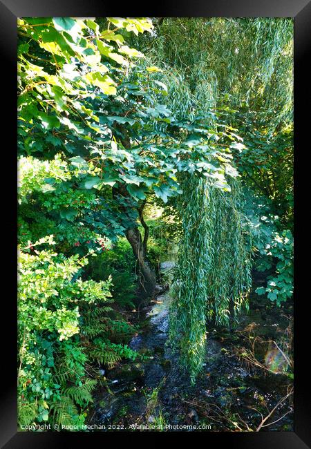 Enchanting Willow by the Brook Framed Print by Roger Mechan