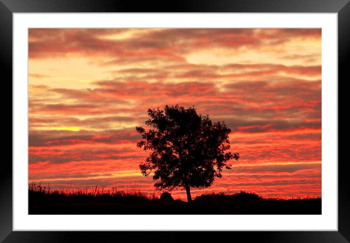 sunrise Framed Mounted Print by Simon Johnson