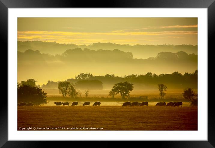 sheep prosession Framed Mounted Print by Simon Johnson