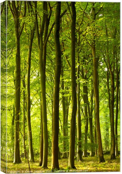 woodland architecture  Canvas Print by Simon Johnson