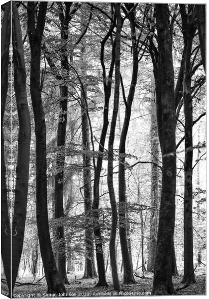 woodland Canvas Print by Simon Johnson