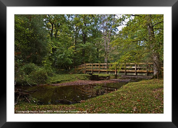 Tranquil Bridge Framed Mounted Print by Donna Collett