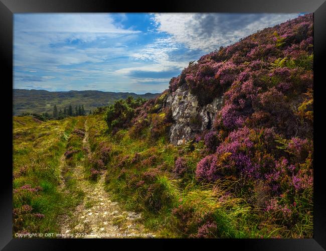 Ancient Drovers Road Heather Clad Assynt West Highland Scotland Framed Print by OBT imaging