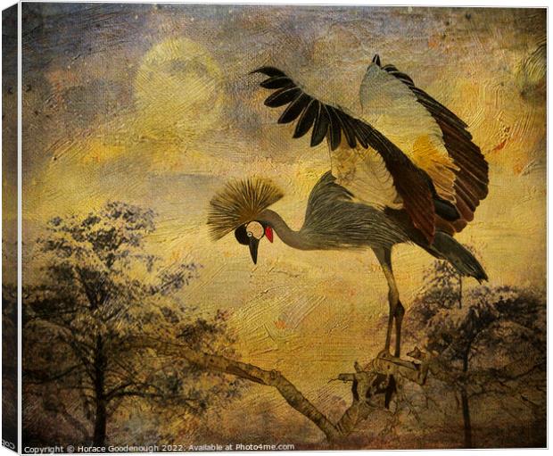 Taking Flight Canvas Print by Horace Goodenough