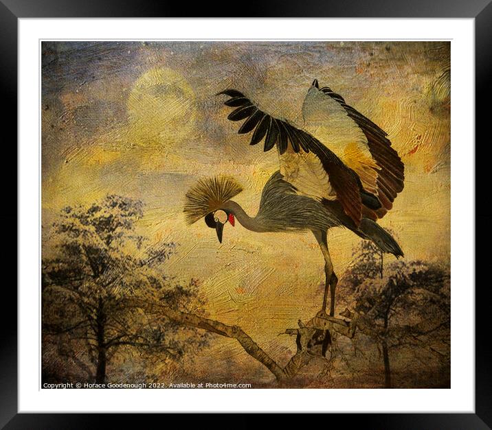 Taking Flight Framed Mounted Print by Horace Goodenough