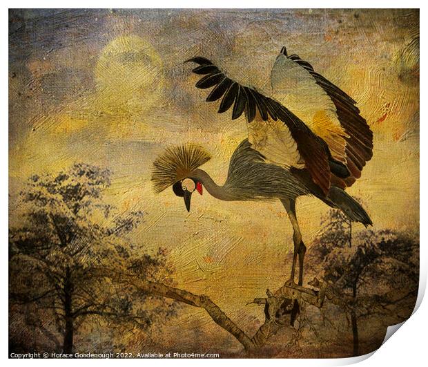 Taking Flight Print by Horace Goodenough