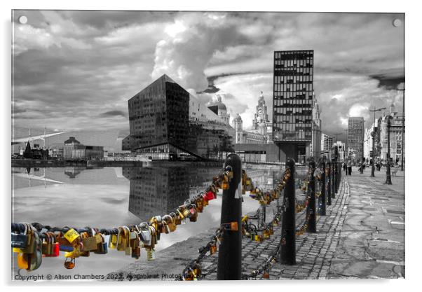 Canning Dock Liverpool  Acrylic by Alison Chambers