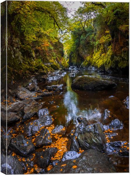 Fairy glen wales Canvas Print by chris smith