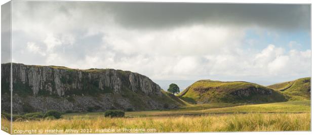 Hadrian's Wall and Sycamore Gap, Northumberland Canvas Print by Heather Athey
