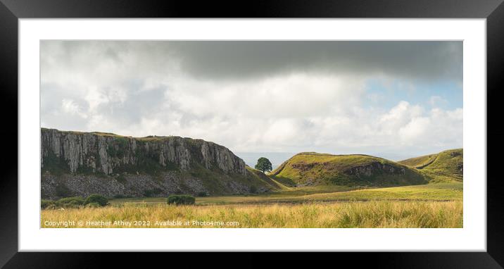 Hadrian's Wall and Sycamore Gap, Northumberland Framed Mounted Print by Heather Athey