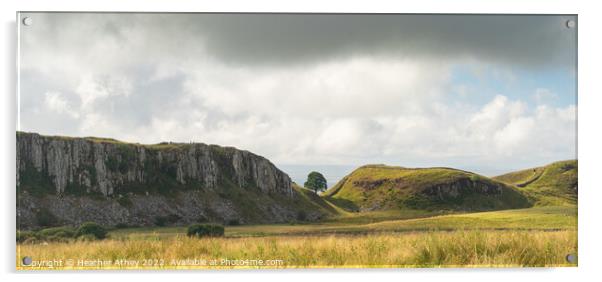 Hadrian's Wall and Sycamore Gap, Northumberland Acrylic by Heather Athey