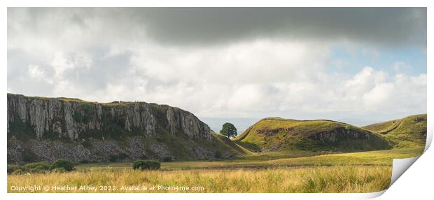 Hadrian's Wall and Sycamore Gap, Northumberland Print by Heather Athey