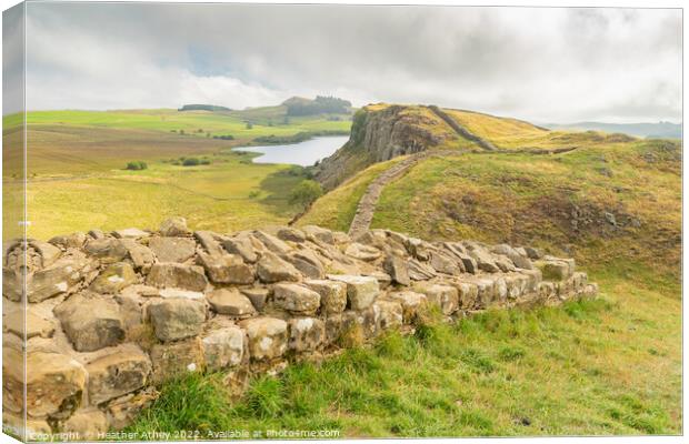 Hadrian's wall  in Northumberland Canvas Print by Heather Athey