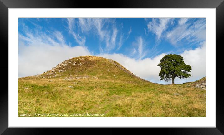 Sycamore Gap on Hadrian's Wall Framed Mounted Print by Heather Athey
