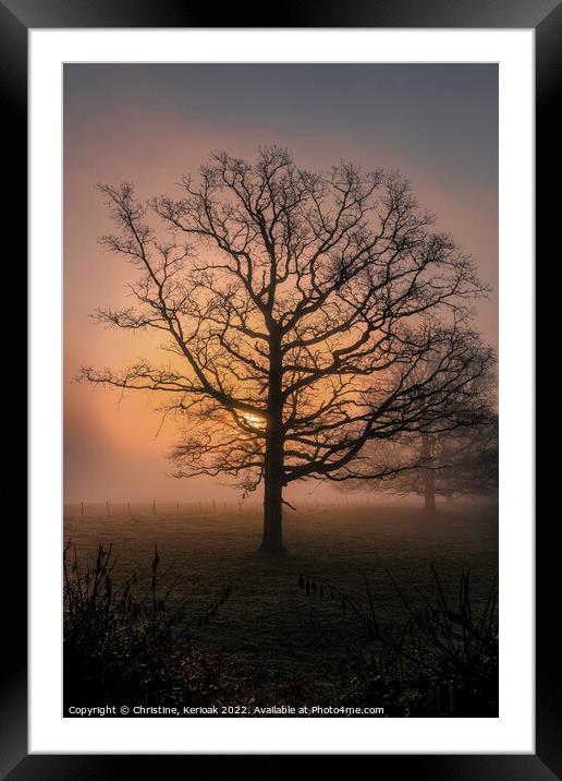 Sun rising out of mist behind large Oak Tree Framed Mounted Print by Christine Kerioak