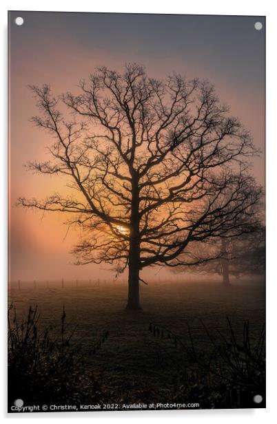 Sun rising out of mist behind large Oak Tree Acrylic by Christine Kerioak