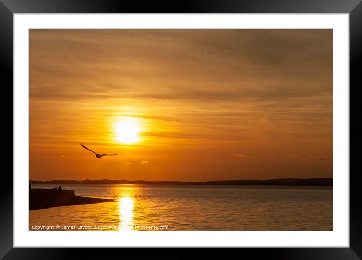 Caught In The Sunset Framed Mounted Print by James Lavott