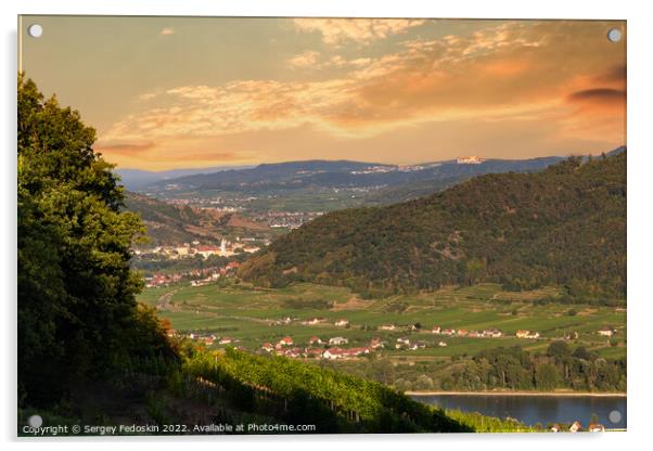Picturesque landscape with vineyards in Wachau valley. Krems region. Lower Austria Acrylic by Sergey Fedoskin