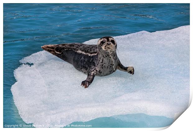 Baby seal on ice floe Print by Steve de Roeck