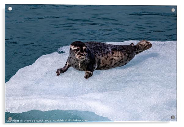 Baby Seal On Ice Acrylic by Steve de Roeck