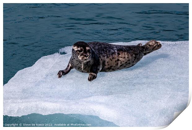 Baby Seal On Ice Print by Steve de Roeck