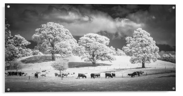 Grazing herd. Acrylic by Bill Allsopp