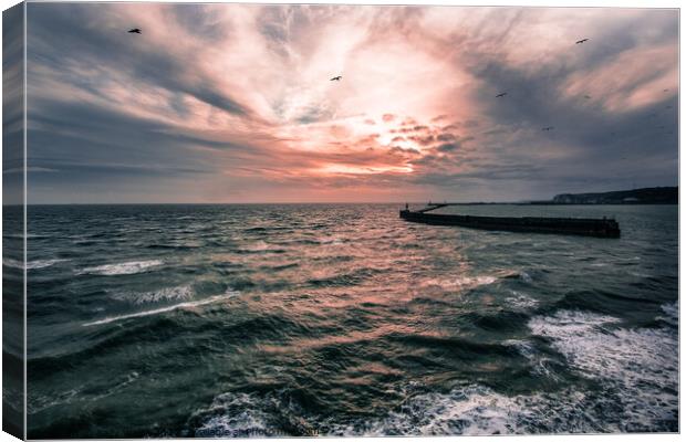 Approaching Dover Harbour in stormy weather Canvas Print by Sally Wallis