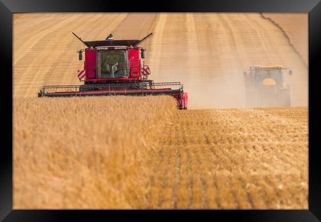 Bringing in the crop. Framed Print by Bill Allsopp