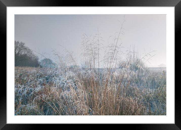 Winter dawn. Framed Mounted Print by Bill Allsopp