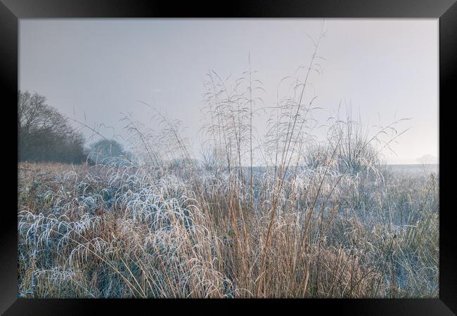 Winter dawn. Framed Print by Bill Allsopp