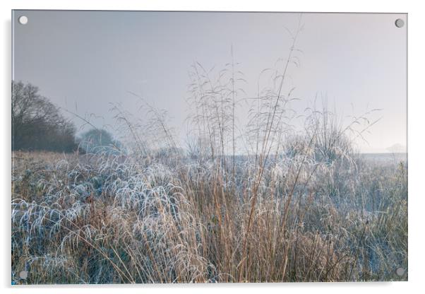 Winter dawn. Acrylic by Bill Allsopp