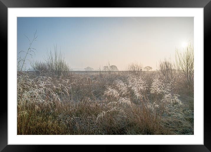 Frost on grass. Framed Mounted Print by Bill Allsopp