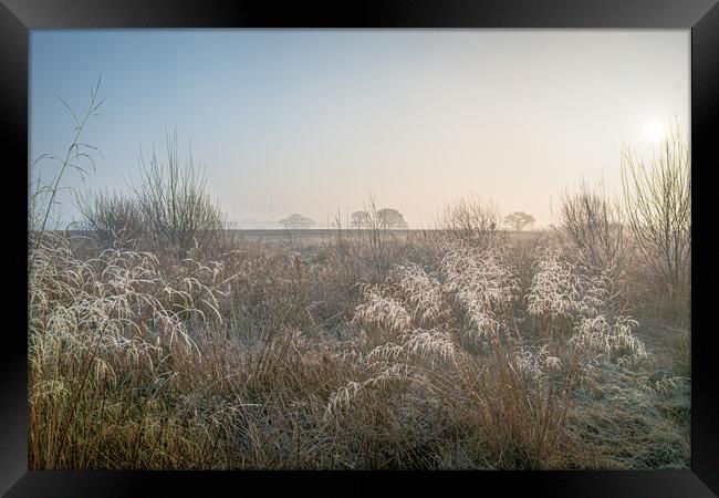 Frost on grass. Framed Print by Bill Allsopp