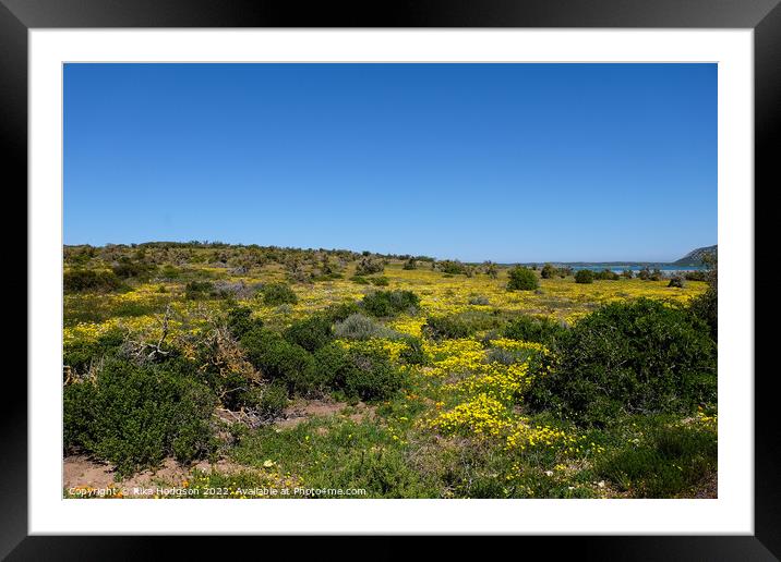 West coast national park, South Africa, landscape Framed Mounted Print by Rika Hodgson