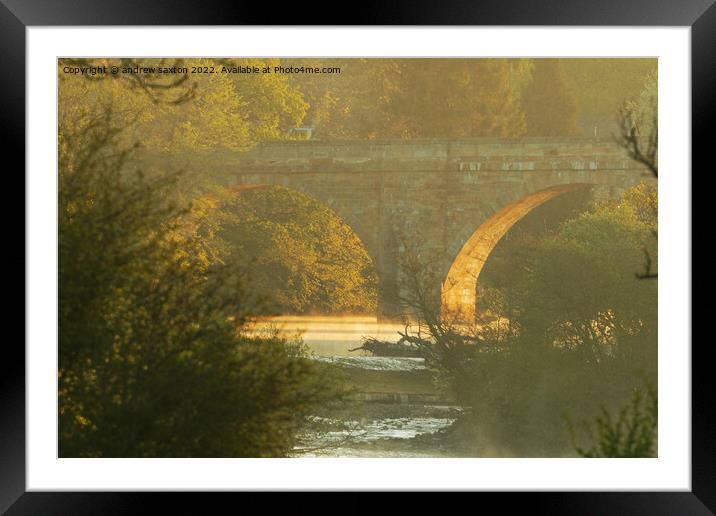 Sun shine bridge Framed Mounted Print by andrew saxton