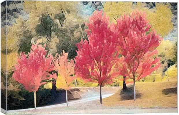Crimson Maples in Autumn - CR2010-3808-ABS Canvas Print by Jordi Carrio