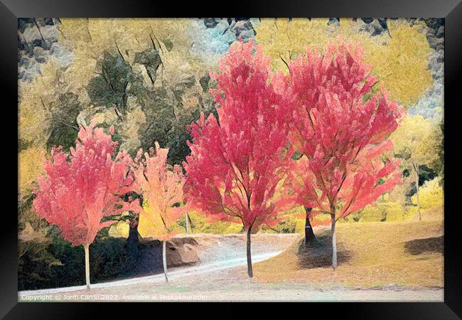 Crimson Maples in Autumn - CR2010-3808-ABS Framed Print by Jordi Carrio