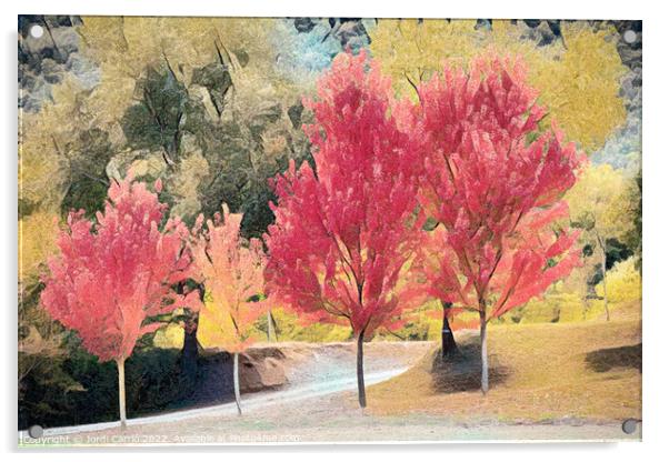 Crimson Maples in Autumn - CR2010-3808-ABS Acrylic by Jordi Carrio