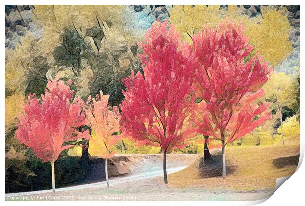 Crimson Maples in Autumn - CR2010-3808-ABS Print by Jordi Carrio