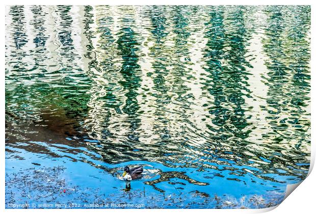 Duck Inner Harbor Buildings Reflection Abstract Lucerne Switzerl Print by William Perry