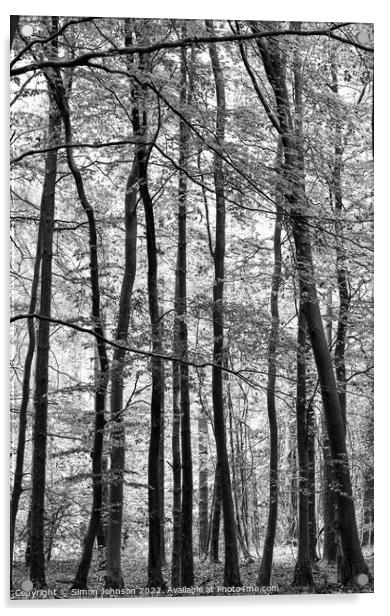 woodland in monochrome Acrylic by Simon Johnson