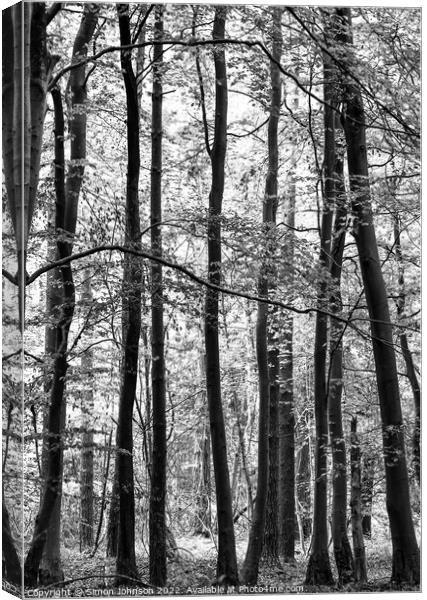 forest monochrome Canvas Print by Simon Johnson