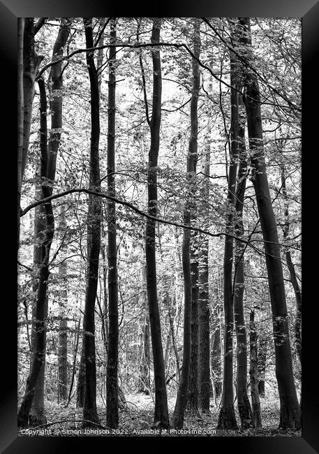 forest monochrome Framed Print by Simon Johnson